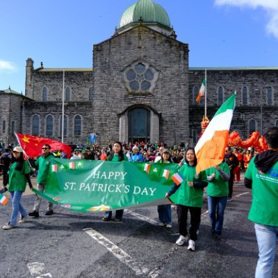 The Confucius Institute of Chinese and Regenerative Medicine at the University of Galway.