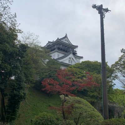 Shakureterune3's profile picture. 