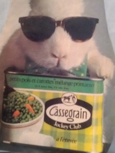 micomight's profile picture. Cackhanded Collector of Auto Immune Disorders. OCD. Hyperosmic Epileptic. Linguaphile/Gourmande/Traveller/Choruster. Looking for work in all the wrong places.