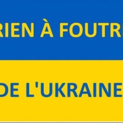 lulutilleul's profile picture. 