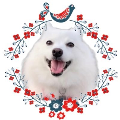 puppyukinori Profile Picture
