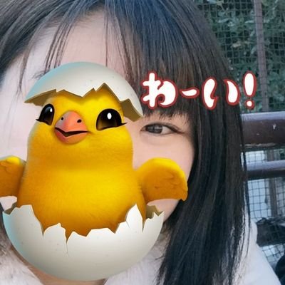 25↑/♀/遊戯王/ポケモン/低浮上 フォローはご自由にどうぞ…( ˘ω˘)