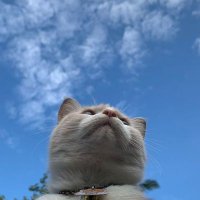 Rü (@rumeysaarliii) 's Twitter Profile Photo