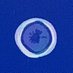 5 (@bin_csh) Twitter profile photo 5 (@bin_csh) Twitter profile photo