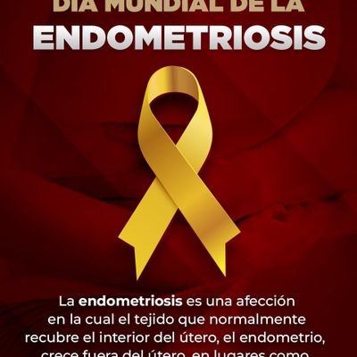 Activista a favor de los derechos de la mujer. A favor de la igualdad de género.  Sin partido político. Todos son más de lo mismo.  Solo cambian de color.