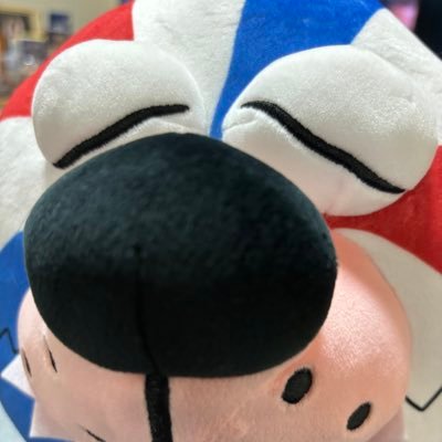 pinkbutanosake's profile picture. 🏀琉球ゴールデンキングス🏀大好き💕HOME大体いる🏀アルマ選手大好きーなのよー🥹