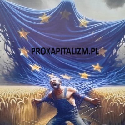 PROKAP - polityka, gospodarka, historia