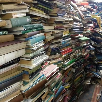 MrGibbo84's profile picture. 