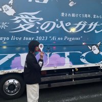 ぬい▶️4/15 Arakezuri (@nuiroiro) Twitter profile photo