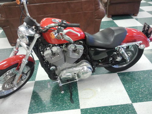 gyrocheif's profile picture. 