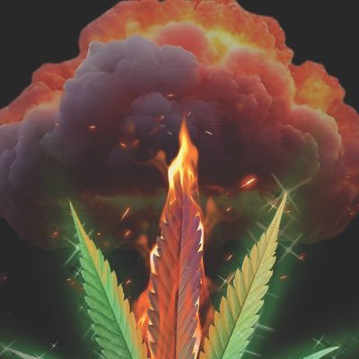 🚨OVER 21 CONTENT🚨 Cannabis grower, National Legalization, DoomsDayDoobie™️, Smoke Du Jour™️, Spouse of VN Combat Medic 💚💚KEEP YOUR HEAD HIGH💚💚