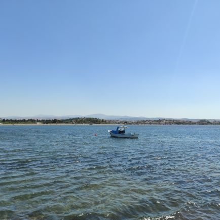 1771Gcr's profile picture. 