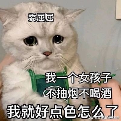 为零☀️さんのプロフィール画像