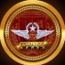 Comando Aéreo GNB (@GNBComandoAereo) Twitter profile photo