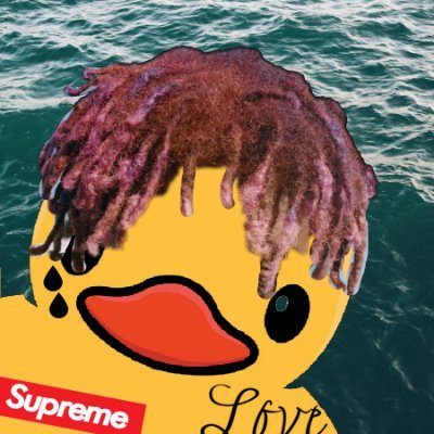 Q4ckDucc's profile picture. Thicc Boi with thicc smile
Zeusing for TeamCHATGPT