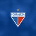 Fortaleza Esporte Clube 🦁 (@FortalezaEC) Twitter profile photo