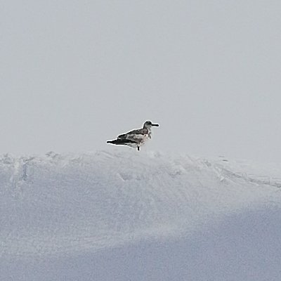 Asrn44146472's profile picture. 