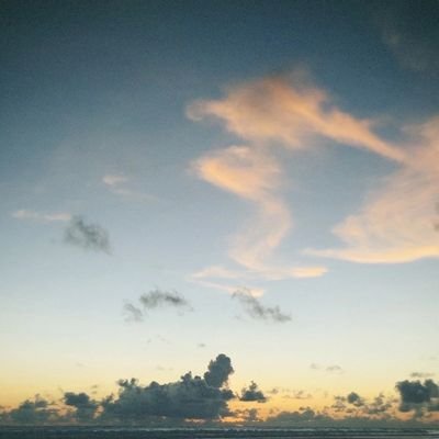 Seinnlesoe555's profile picture. 