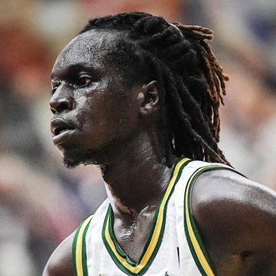 Professional Basketball Player🏀 Sudanese🇸🇸