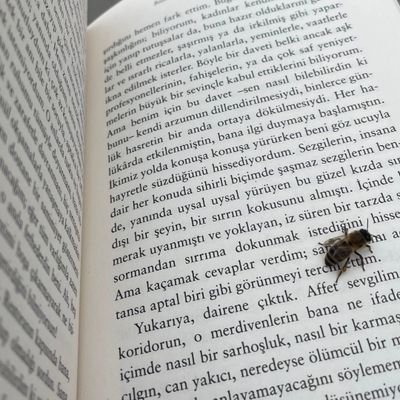 pinarozerr07's profile picture. .