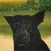 Mike Newton (@blackdog_mike) Twitter profile photo
