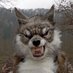 Werewolf Werepaw (@WerewolfWerepaw) Twitter profile photo