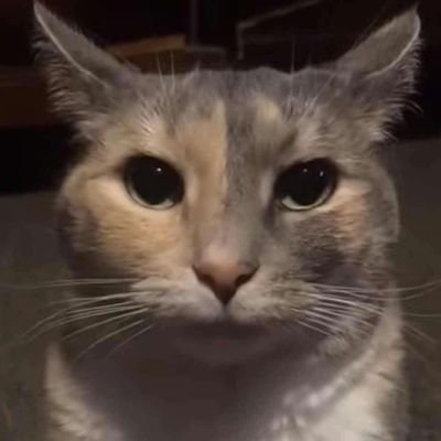 butterronmytoes's profile picture. 