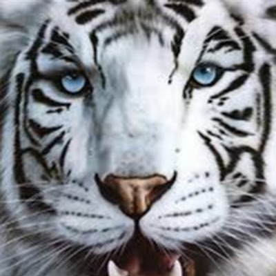 KamalKhatr81700's profile picture. 