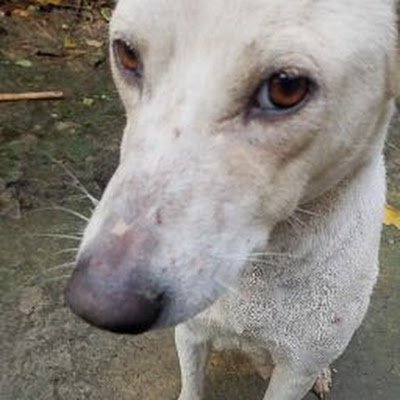 Hasi_kutta's profile picture. I'm just helping others #XREY $XREY