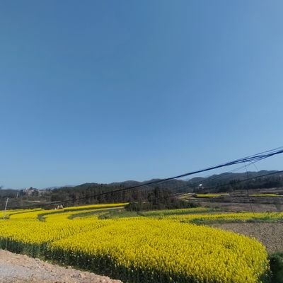ming124620's profile picture. 