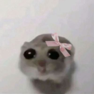 hatemath777's profile picture. hidup kadang kiding