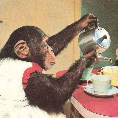 RaisiWa71305's profile picture. VISIT MAKANYAGIO....
UJINGA NDO JADI YANGU..
MTOTO WA FIMBO YA MYONGE
@YANGA FAN💚@BARCELONA @LIVERPOOL FAN
MUUZA SISOO TANGU MDOGO.