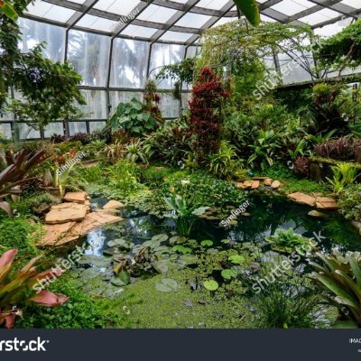 Los jardines botánicos o huertos botánicos, son espacios que se centran en la protección, exposición y estudio de las plantas o especies vegetales.