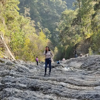 Lucesita del bosque campestre del mundo mundial del universo número no me acuerdo