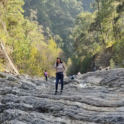 Lucesita del bosque campestre del mundo mundial del universo número no me acuerdo