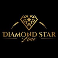 Diamond Star Limo(@dslimony) 's Twitter Profile Photo