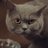 yanweiscat's profile image