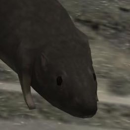 HornyTrash69's profile picture. public dni