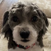 yeesh! (@sattlermonument) 's Twitter Profile Photo yeesh! (@sattlermonument) 's Twitter Profile Photo