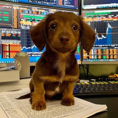 PLFventures's profile picture. 