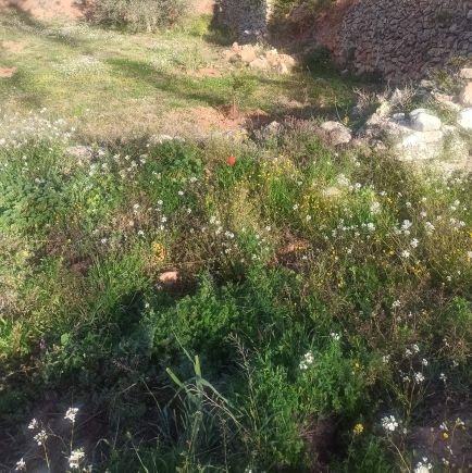 Airo54's profile picture. Sencillo y emprendedor