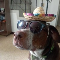 Techaaaaa (@techaaaaaaa_) 's Twitter Profile
