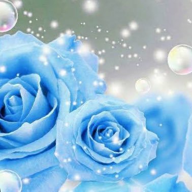 poo_0818's profile picture. なかいくん🫶