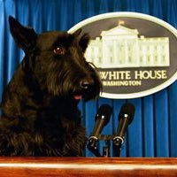 wi21b's profile picture. 