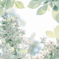 翠(すい) (@sui_x2428) 's Twitter Profile Photo 翠(すい) (@sui_x2428) 's Twitter Profile Photo