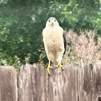 ComputPhil's profile picture. Basketball and Computers...