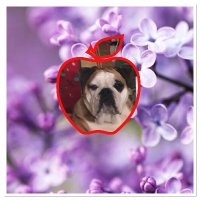 A L Magleby,❤️🇺🇸🙏🏻 (@amagleby) 's Twitter Profile