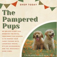 The Pampered Pups(@pamperedpupsco) 's Twitter Profile Photo