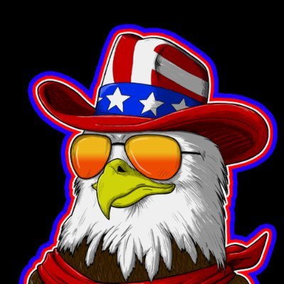 EAGLEWIFHAT, The all-American meme coin of freedom!