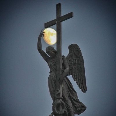 iDIFIY's profile picture. كلُ كأسٍ خمرةٌ حتّى إذا كان بها ماءٌ حزيـن